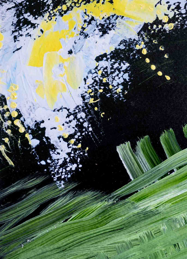 Cascades Through Fern and Shadow