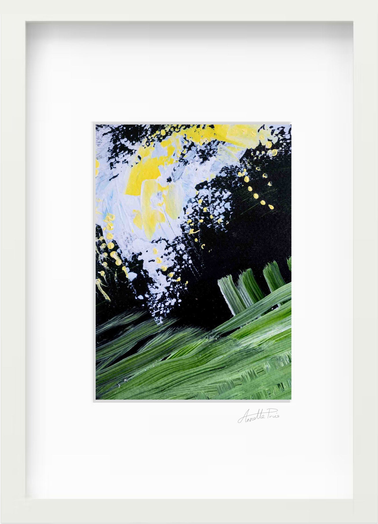 Cascades Through Fern and Shadow